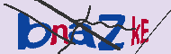 Codice captcha